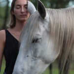 l'accompagnement par le cheval