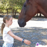 Jacqueline Bardinet Guesdon - L'étincelle en soi - Séance enfant et peur du cheval-o